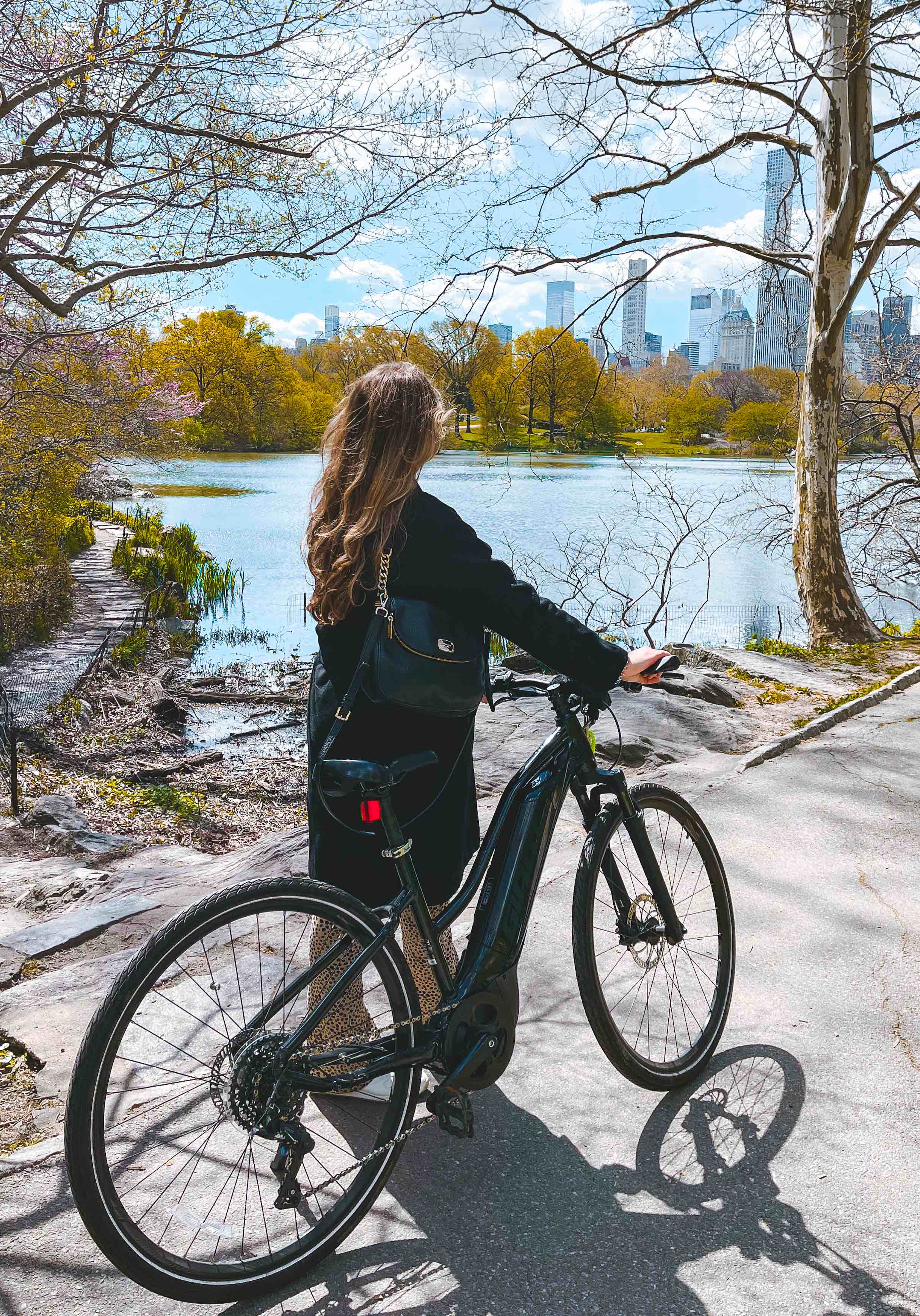 Central Park Private Electric Bike Tour