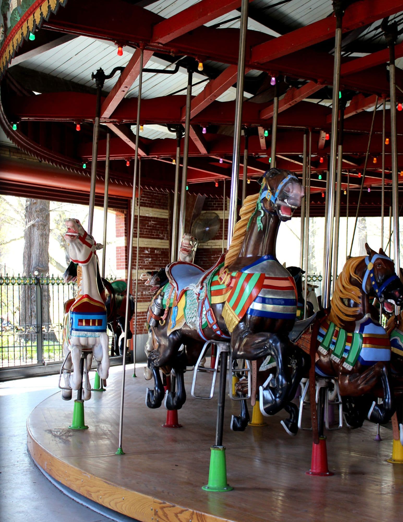 The Carousel