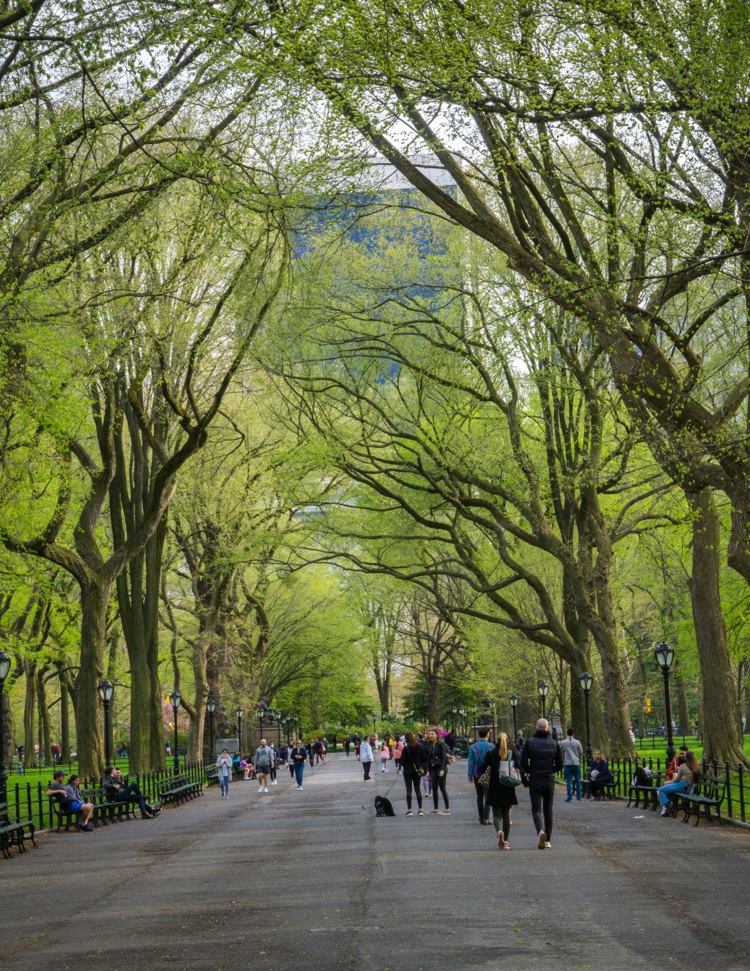 The Mall and Literary Walk