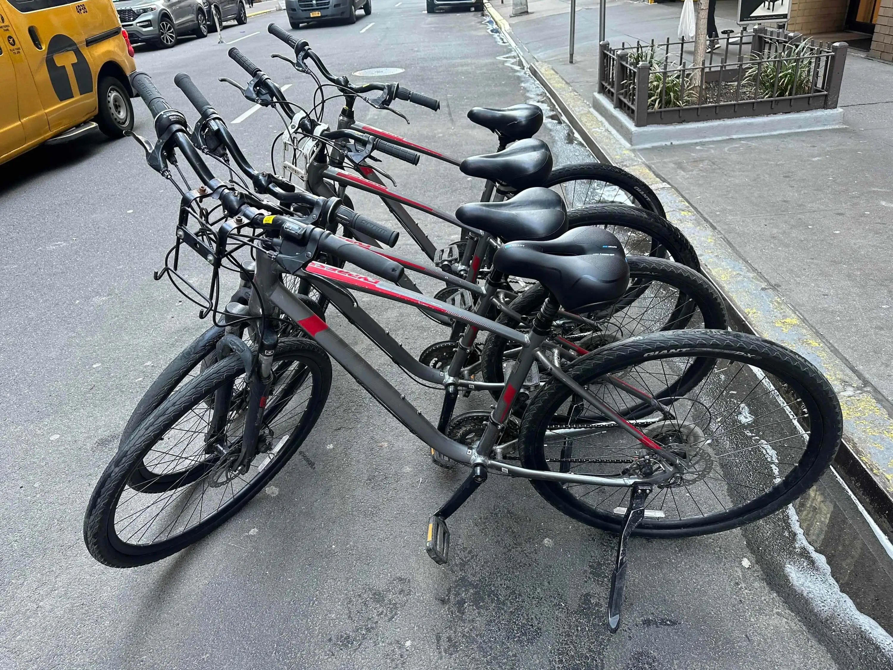 Riders on the 5 Boro Bike Tour