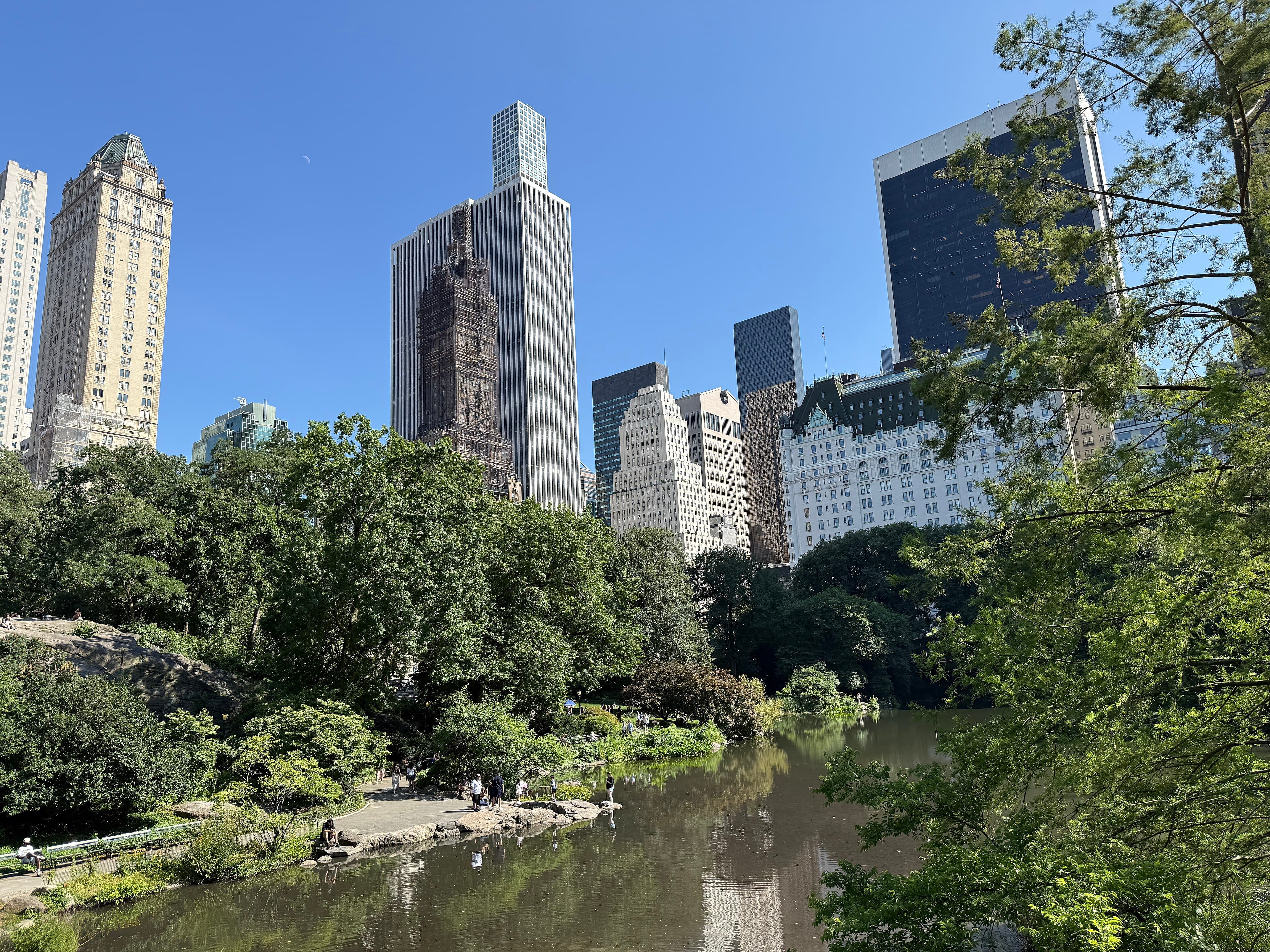The Pond in Central Park, with the towers of Central Park South behind