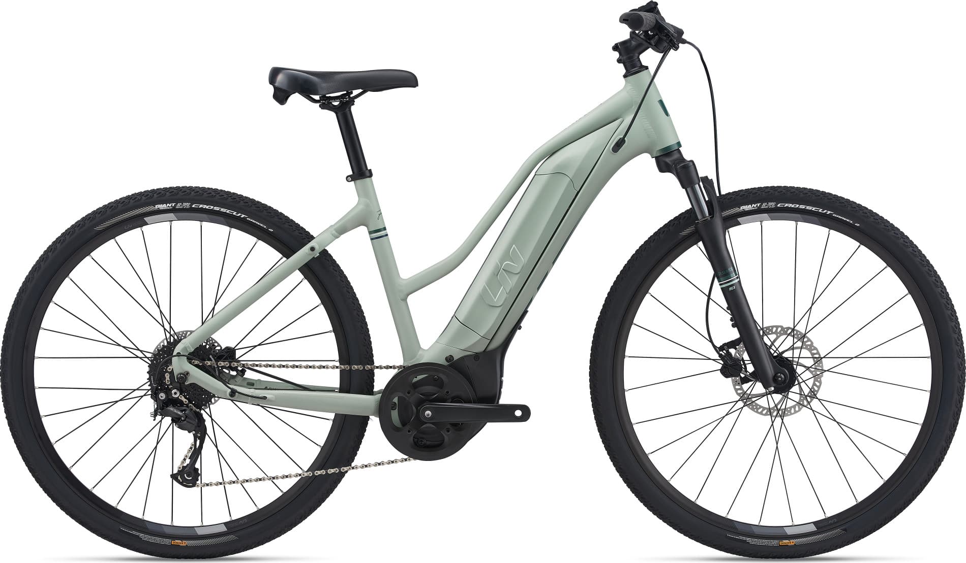 GIANT LIV ROVE E+ 20MPH (used)